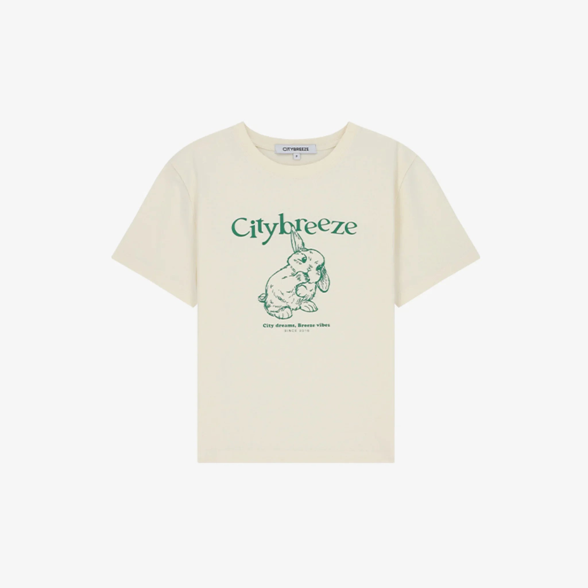 CITYBREEZE CITY BRUSH GRAPHIC SHORT-SLEEVE T-SHIRT