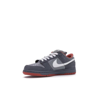 Nike Dunk SB Low Staple NYC Pigeon