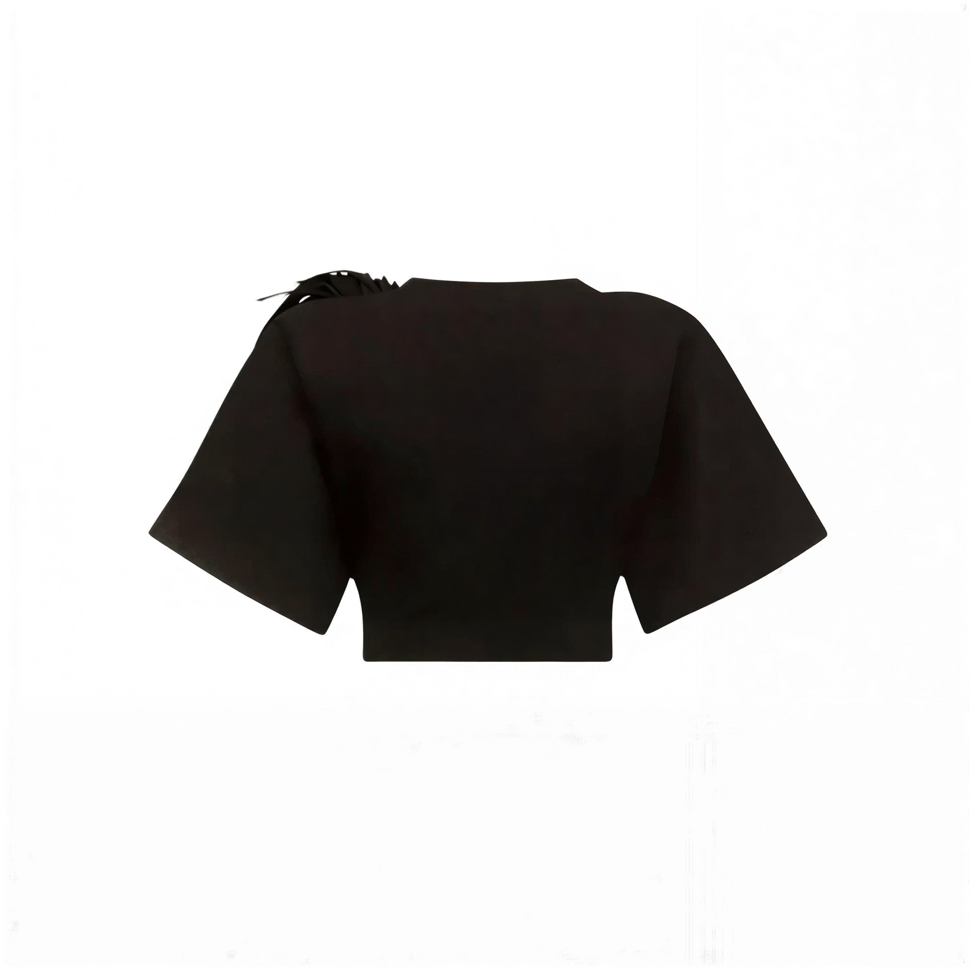 AREA Fringe Brooch Cropped T-Shirt-2