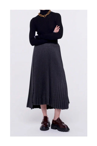 Pleated Skirt