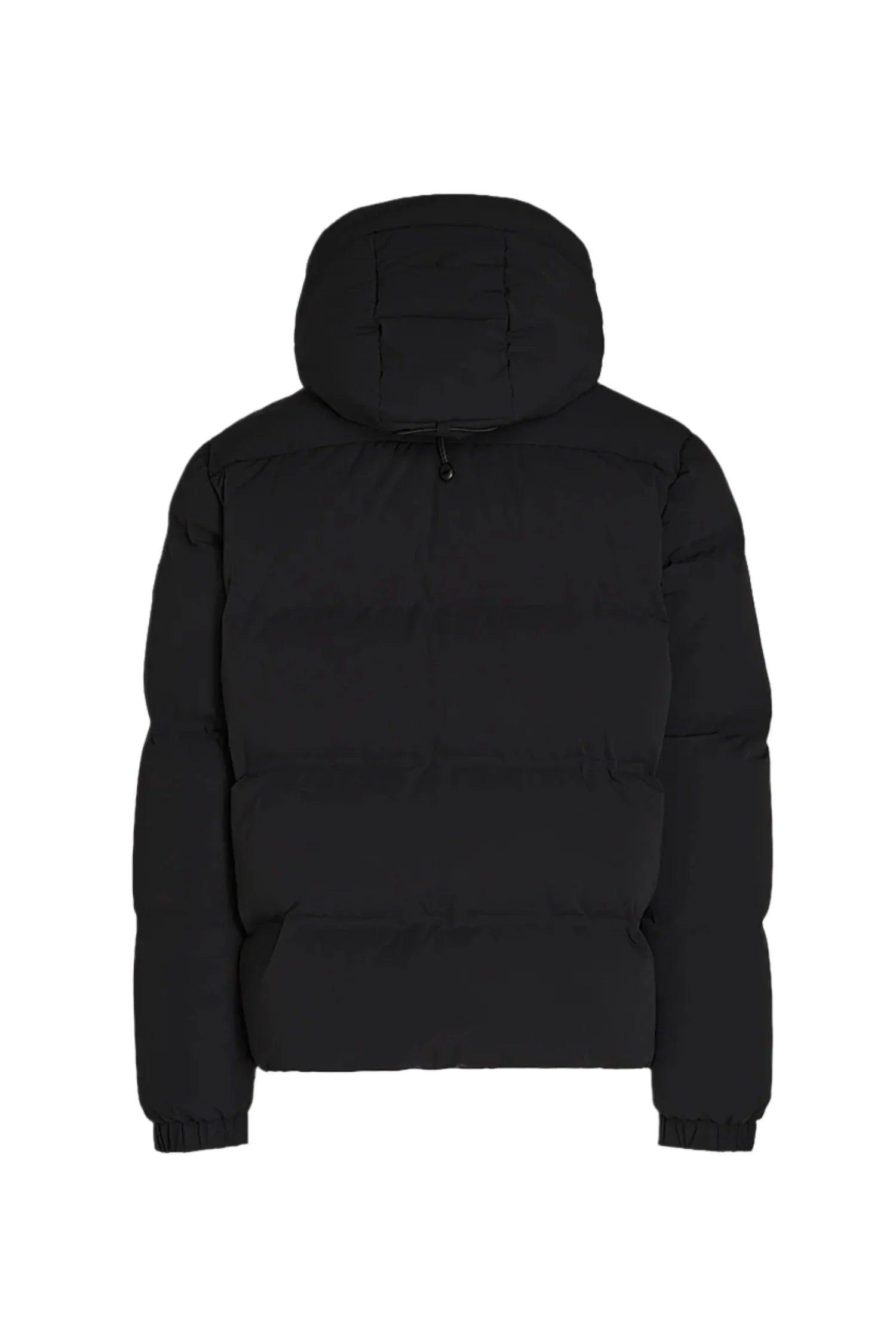 Black puffer jacket with hood and elastic cuffs shown from the back on white background