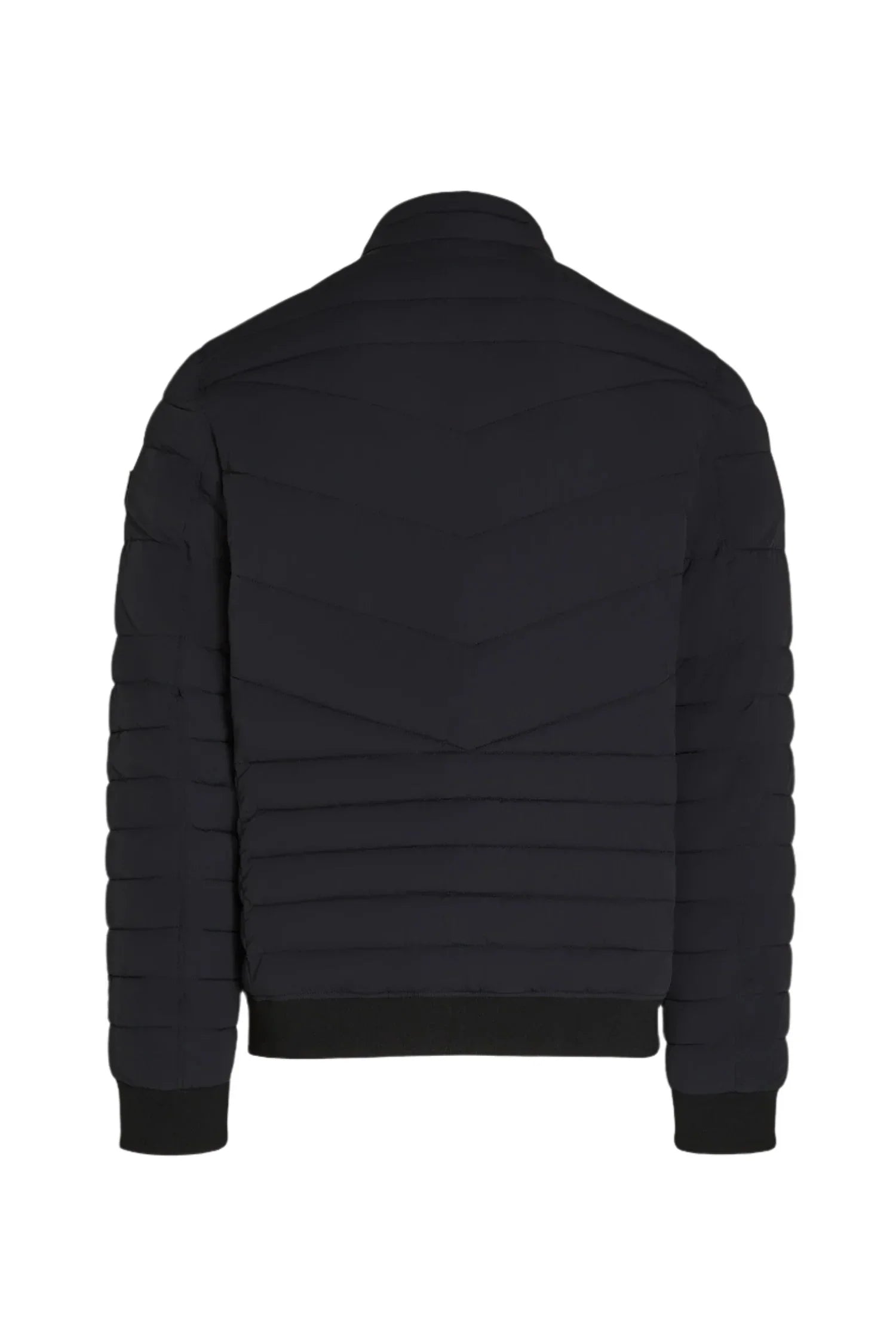 Back view of black quilted puffer jacket with ribbed cuffs and hem on white background