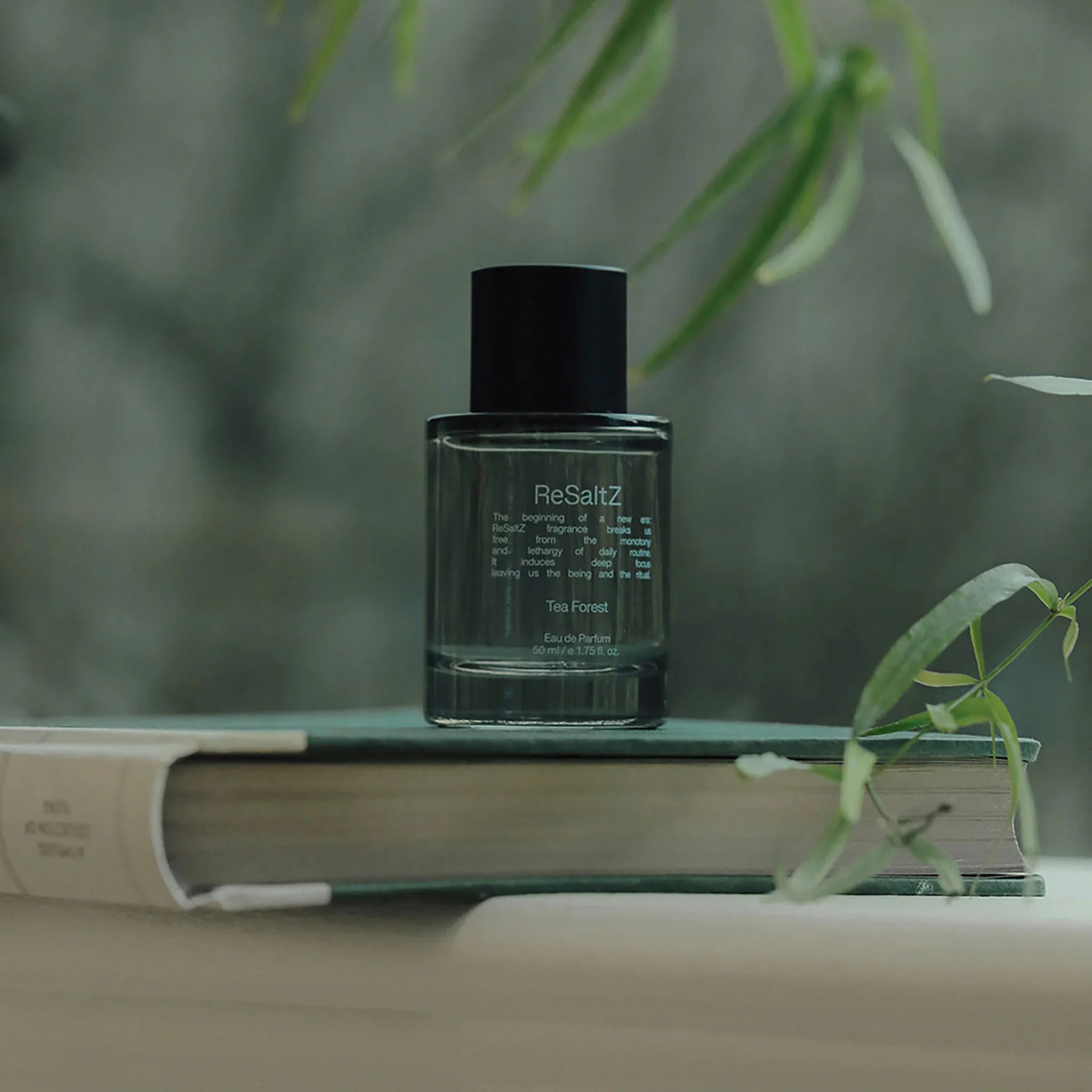 Eau de Parfum Tea Forest 50ml-3
