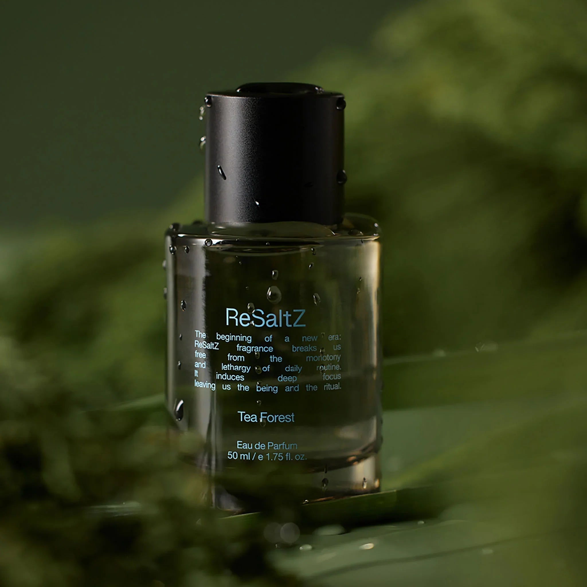 Eau de Parfum Tea Forest 50ml-2