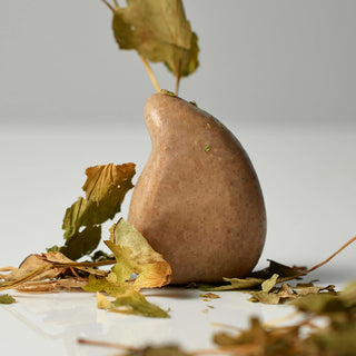 Salt Body Scrub Bar Cica